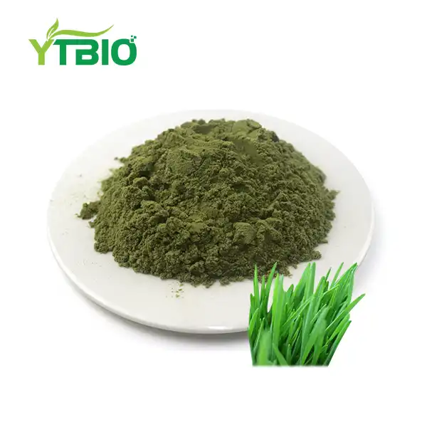 Top Benefits of Wheat Grass Powder in Detox and Energy Blends Top Benefits of Wheat Grass Powder in Detox and Energy Blends